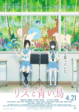 手机免费播放