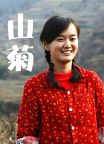 字幕全集免费观看
