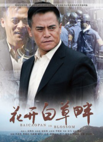 BD国语电影免费在线